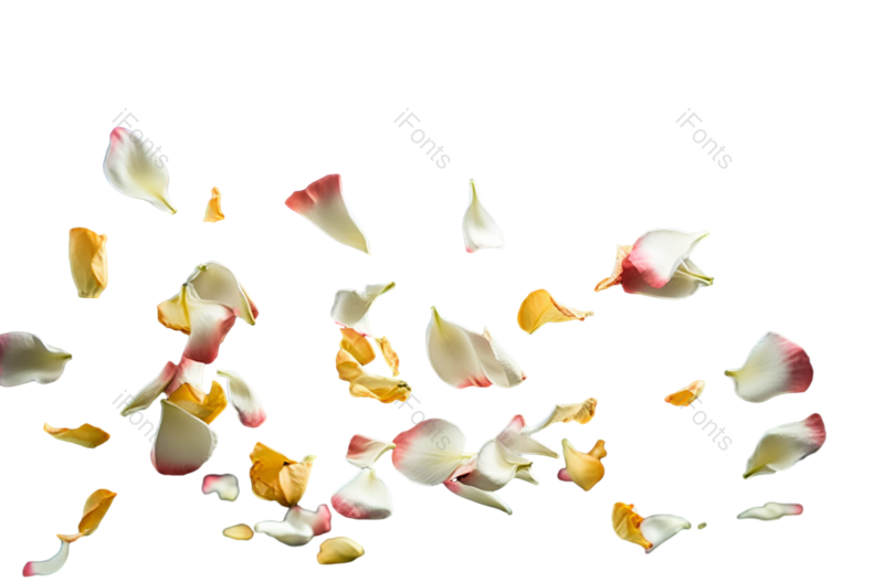 装饰图片,花瓣装饰元素,520PNG,花瓣免抠素材